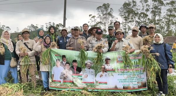Garut Berpeluang Jadi Sentra Bawang Putih Nasional, Demplot Pasirwangi Tunjukkan Hasil Menjanjikan