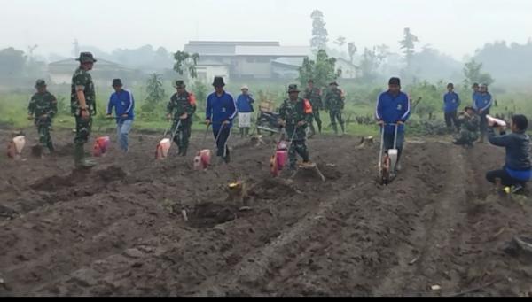 Sinergi Ketahanan Pangan, Pemkab Kediri dan TNI Tanam Jagung di Desa Gadungan