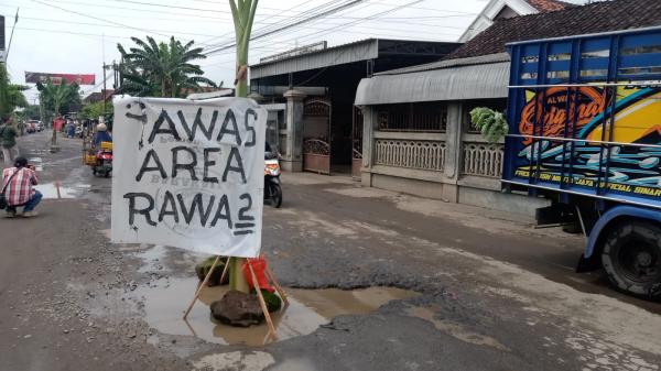 Warga Sambirobyong Tanami Pohon Pisang, Protes Jalan Rusak Tak Kunjung Diperbaiki