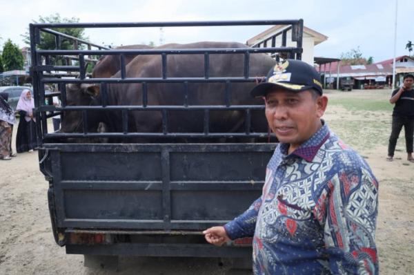 Bupati Pidie Jaya Salurkan Bantuan Presiden untuk Tradisi Meugang Warga Korban Bencana