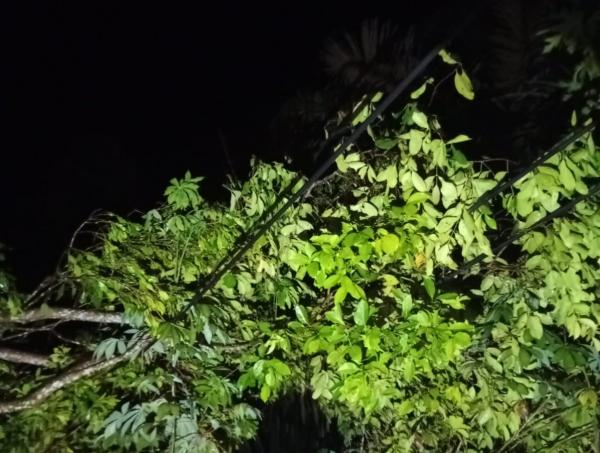 PLN Gerak Cepat Tangani Gangguan Listrik Akibat Cuaca Ekstrem di Wilayah Tanggeung