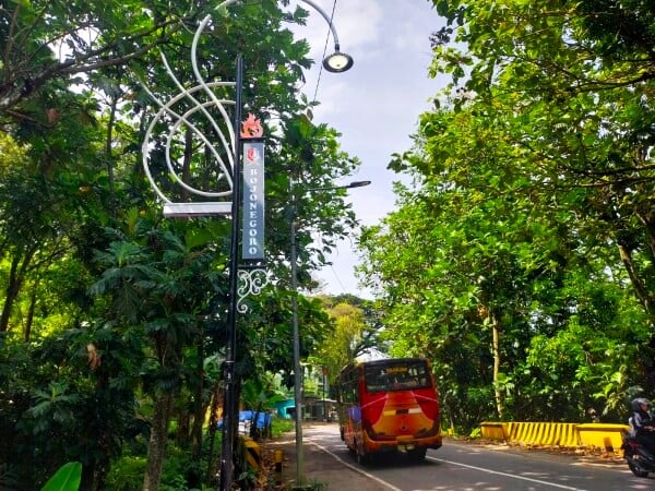 PJU Ikonik Mliwis Putih, Sambut Pengguna Jalan di Sejumlah Titik Perbatasan Bojonegoro