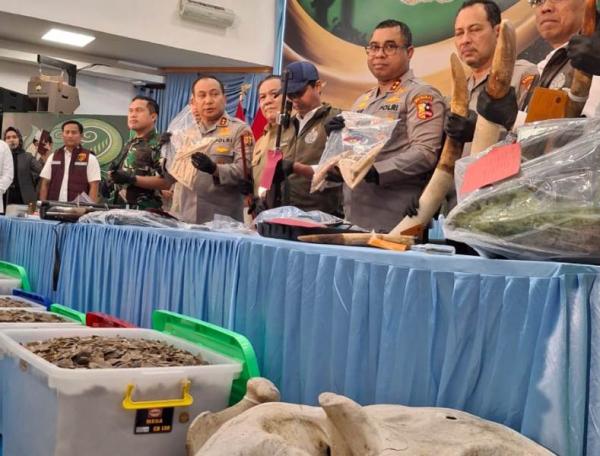 Sikat Sindikat Pemburu Gajah di Riau, Polda Tangkap 15 Pelaku hingga ke Jawa