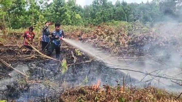 0,34 Hektare Lahan Terbakar Saat Cuaca Panas, Tim Dalkarhutla Berjibaku Padamkan Api