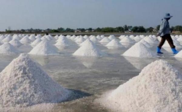 Ekspansi ke Frankfurt, Garam Lokal Ini Bidik Pasar Eropa dan Bawa Harapan Industri Nasional