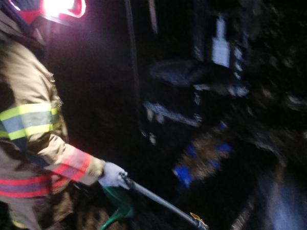 Kebakaran Kandang di Baureno Bojonegoro, Ratusan Ekor Ayam Mati