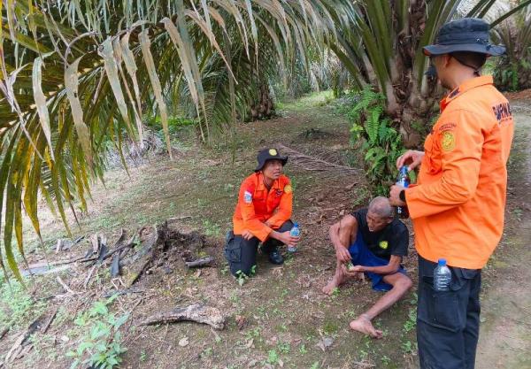 Hilang 2 Hari, Kakek 83 Tahun di Rokan Hulu Ditemukan Kondisi Lemas di  Kebun Sawit