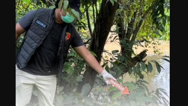 Tragis! Remaja Perempuan di Kutai Timur Tewas Diterkam Buaya saat Mandi di Sungai