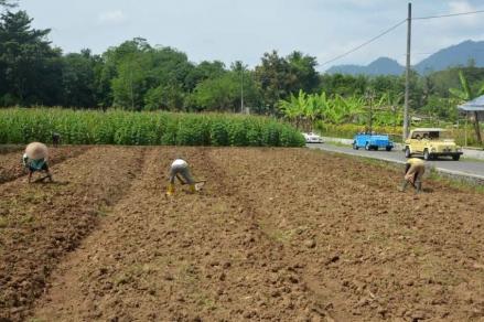 Waspada Penipuan Petugas Ukur Tanah, Masyarakat Diimbau Cek Identitas Kedinasan dan Surat Tugas