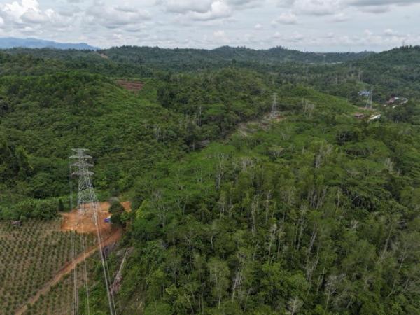 PLN Gandeng Kantah Berau, Perkuat Legalitas Lahan Tower Transmisi 150 kV