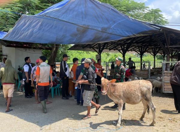 Bandara KASA Situbondo Tuntaskan Penyaluran Bantuan Kerohiman Berupa Hewan Ternak ke 169 Warga