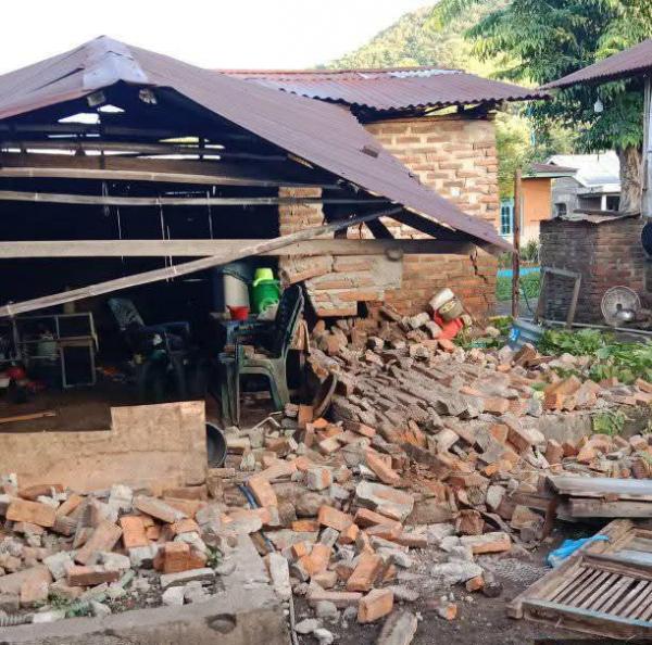 Update Gempa Flores Timur Magnitudo 4,7: 15 Warga Terluka, 5 di Antaranya Alami Luka Berat