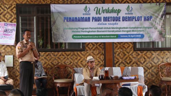 Penanaman Padi Metode Demplot KSP Dorong Produktivitas Petani di Garut