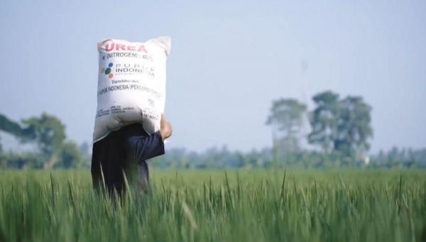 Alokasi Pupuk Subsidi Karawang 2026 Naik, DPKPP Siapkan 95.967 Ton untuk Petani