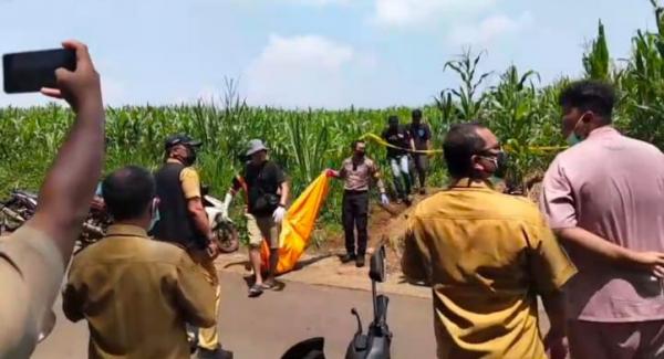 Jombang Gempar! Mayat Pria Misterius Ditemukan Membusuk di Lahan Jagung