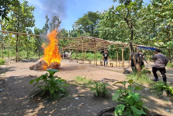 Berantas Judi, Polsek Jombang Bakar Arena Sabung Ayam di Hutan
