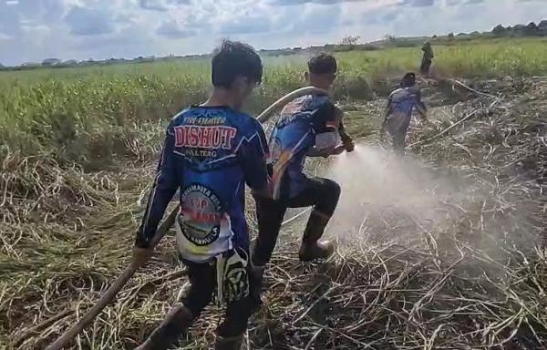 Lahan 0,47 Hektare Terbakar di Palangka Raya, Tim Dalkarhutla Berjibaku Padamkan Api