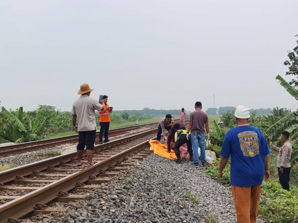 Petani Kendarai Motor Tewas Tertemper Kereta Api di Terisi