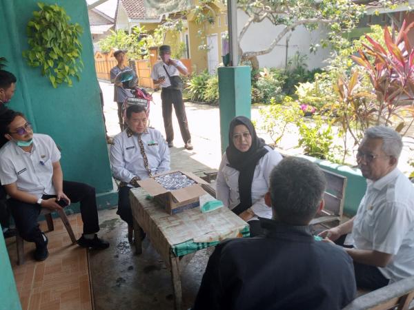 Viral Ribuan Bangkai Kelelawar Ditemukan, Bau Busuk Menyengat!  ​​​​​​​