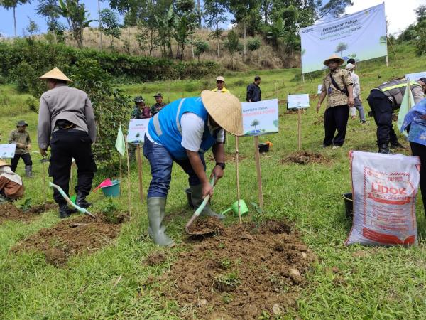 Peringati Hari Bumi, Tanam 20.000 Pohon Kopi di Desa Pegunungan Cegah Sedimentasi