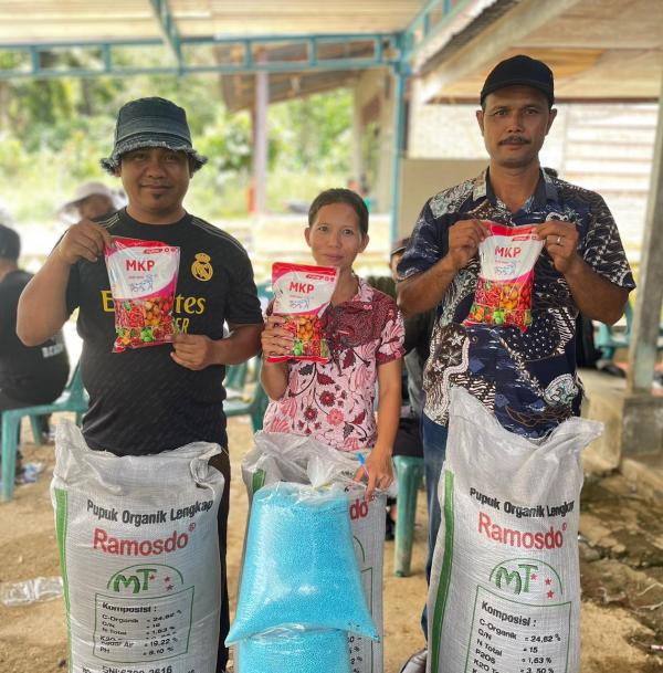 Tak Lagi Jual Biji Mentah, Petani Dairi Kini Dibimbing Raup Cuan dari Hilirisasi Kopi