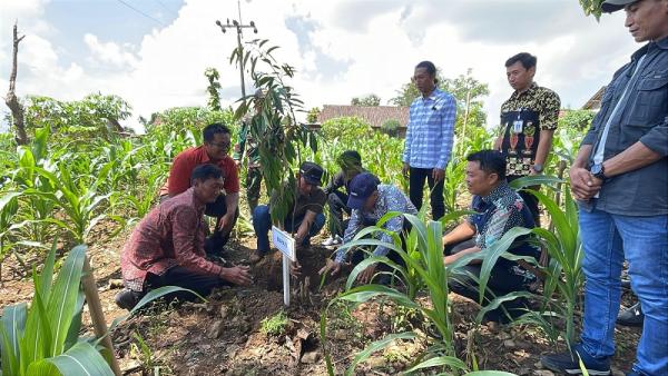 1 Rumah Tanam 1 Pohon, Kecamatan Gondang Bojonegoro Canangkan Agrowisata Durian Premium