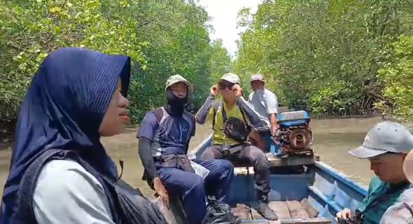 Mangrove Tersembunyi di Banyuwangi Mulai Terkuak, Hutan Produksi Ini Siap Jadi Wisata Edukasi Baru
