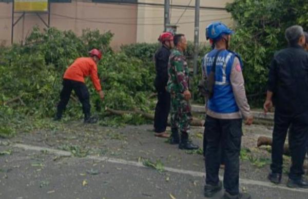 Angin Kencang Sebabkan Pohon Tumbang di Cimahi, Timpa Pedagang dan Sejumlah Siswa