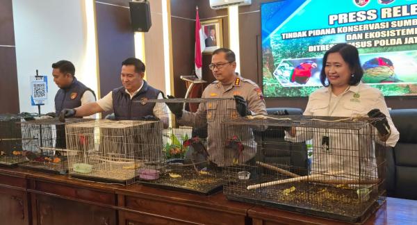 Ditreskrimsus Polda Jateng Gagalkan Penyelundupan 18 Burung Kasturi Kepala Hitam 