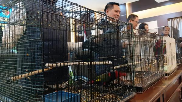 Polda Jateng Gagalkan Penyelundupan 18 Burung Kasturi Asal Papua di Pelabuhan Juwana Pati