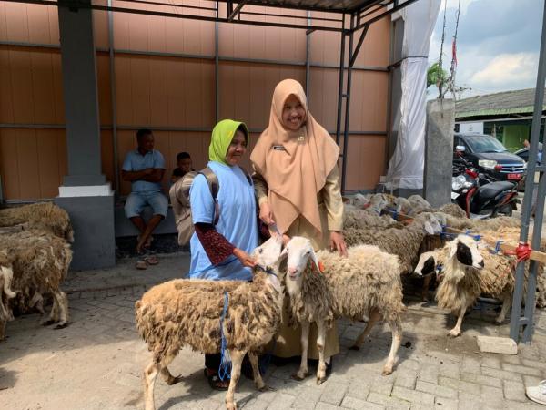 Sebanyak 3.325 Keluarga di Bojonegoro Bakal Terima Bantuan 2 Ekor Domba Kesejahteraan