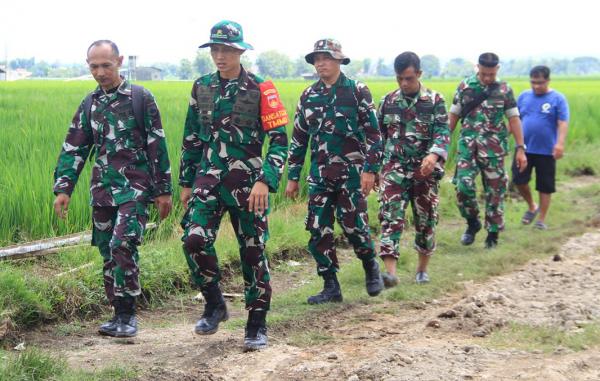 Komandan Satgas TMMD Pantau Ketat Progres Pengecoran Jalan: Harus Benar-benar Berkualitas