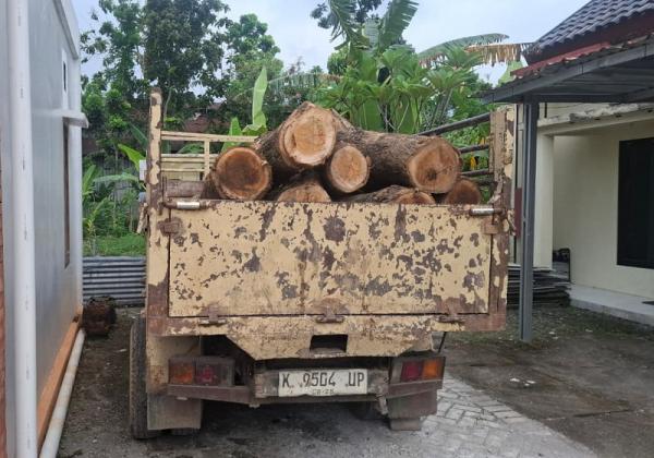 Polsek Wirosari Bersama KPH Purwodadi Gagalkan Pengangkutan Kayu Jati Ilegal, Pelaku Ditangkap