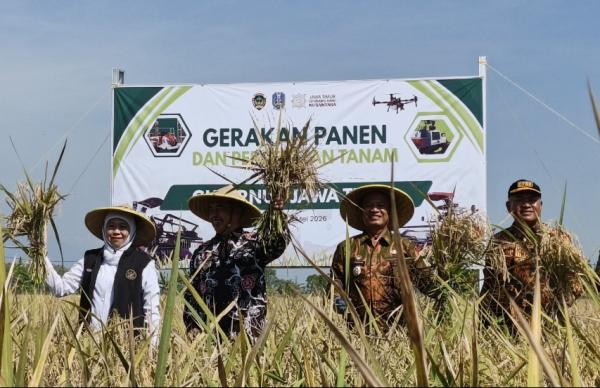 Jaga Stabilitas Ketahanan Pangan Nasional, Khofifah Gelar Percepatan Panen dan Tanam Padi di Madiun