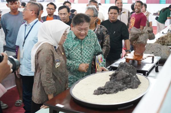 Kebumen Gelar Kontes Nasional Suiseki, Ada 351 Koleksi yang Dipamerkan