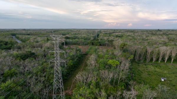 PLN UIP KLT Perkuat Legalitas Tower SUTT 150 kV di Kotabaru