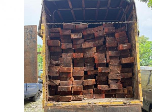 Pembalakan Liar Terjadi di Cagar Biosfer Giam Siak Kecil, Polda Riau Sita 10 Kubik Kayu