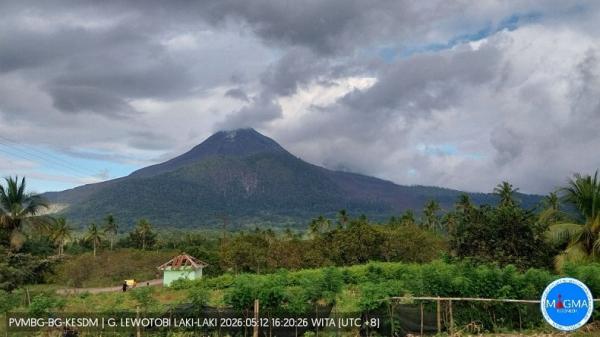 Gunung Lewotobi di Flores Timur Bersatus Siaga, Aktivitas Tremor Tinggi
