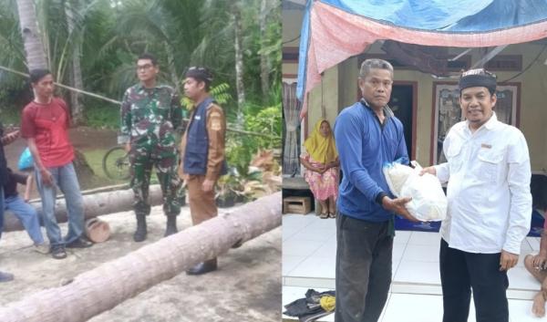 Pohon Kelapa Tumbang, Dua Rumah Warga Cintakarya Rusak Parah