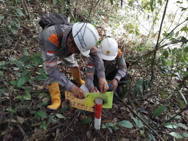 Perkuat Sistem Kelistrikan Berau, PLN Survei Jalur Transmisi 150 kV
