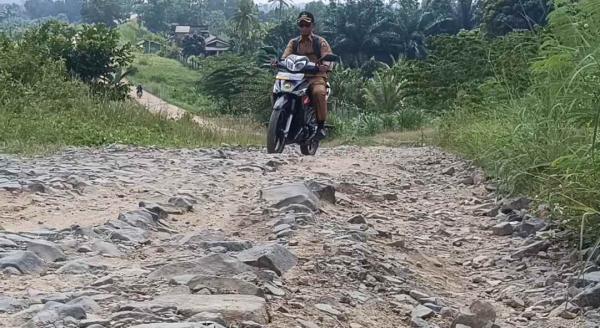 Jalan Poros Katibung–Way Sulan Hancur Parah, Warga dan Pelajar Pertaruhkan Nyawa Tiap Hari