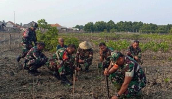 Wujudkan Indonesia Asri, TNI Kodim 0623/Cilegon Tanam Pohon Mangrove di Pesisir Pula Panjang