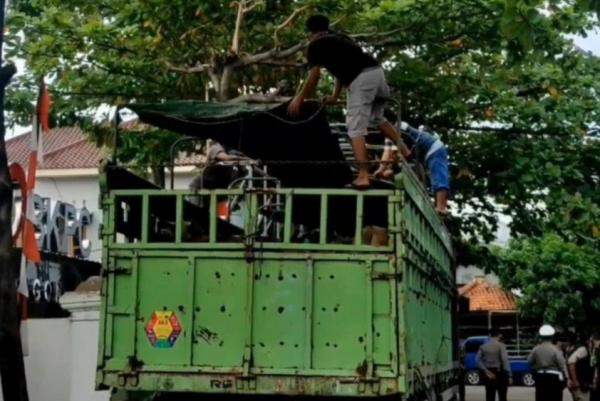 Jelang Idul Adha, Pengiriman Hewan Kurban Sumatera-Jawa Naik Drastis