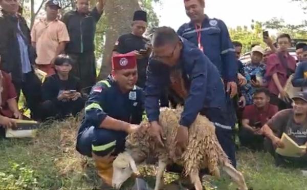 Jelang Idul Adha, Kebutuhan Juleha di Ponorogo Masih Tinggi