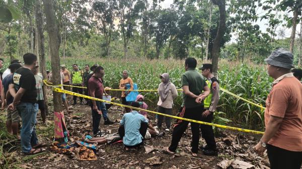 Petani di Blora Ditemukan Meninggal di Tepi Hutan, Polisi: Tidak Ada Tanda Kekerasan