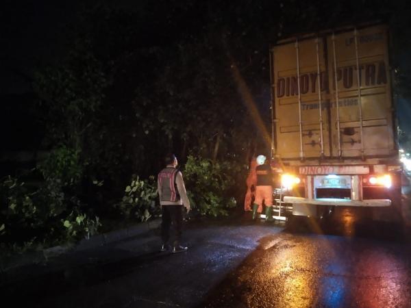 Pohon Tumbang Timpa Kontainer di Perempatan RPH Krian, Polisi dan Warga Gerak Cepat Evakuasi