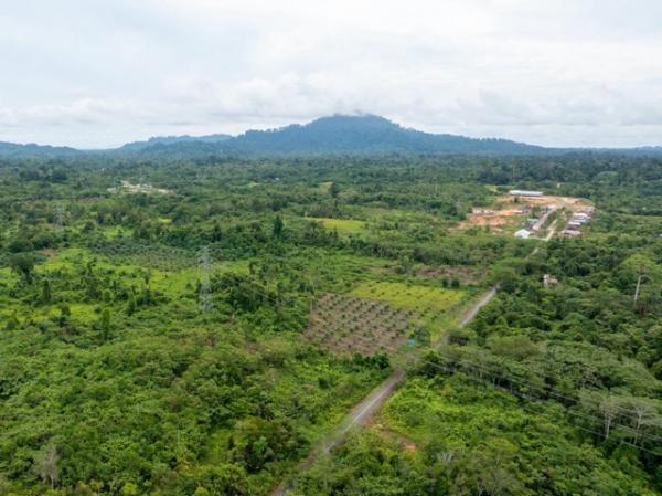 PLN UIP KLT Perkuat Kepastian Hukum Aset Kelistrikan di Paser
