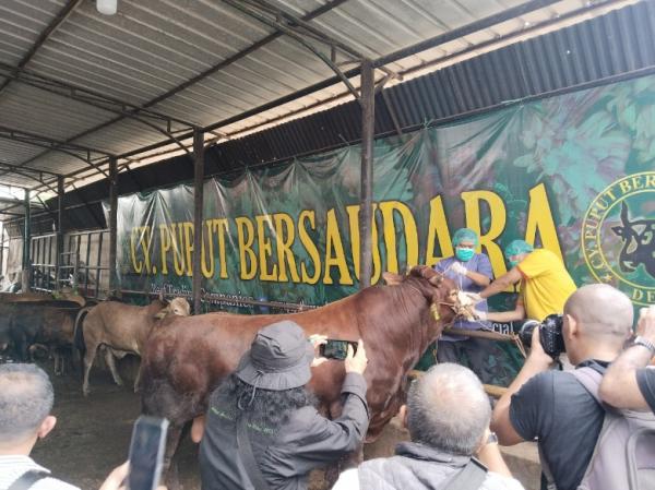 Tak Disangka, Penjualan Hewan Kurban di Depok Naik di Tengah Kelesuan Ekonomi