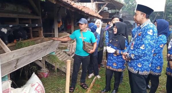 Pemeriksaan Kesehatan Hewan Kurban di Pandeglang Diperketat Jelang Iduladha 1447 Hijriah