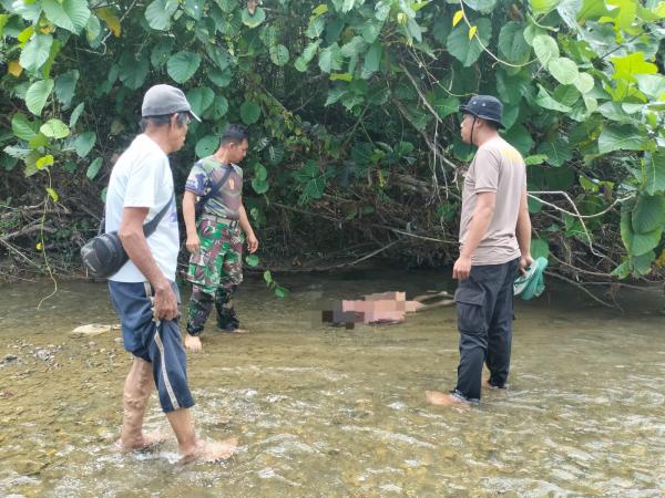 Pria Asal Pinrang Ditemukan Meninggal di Sungai Kuma Pasangkayu